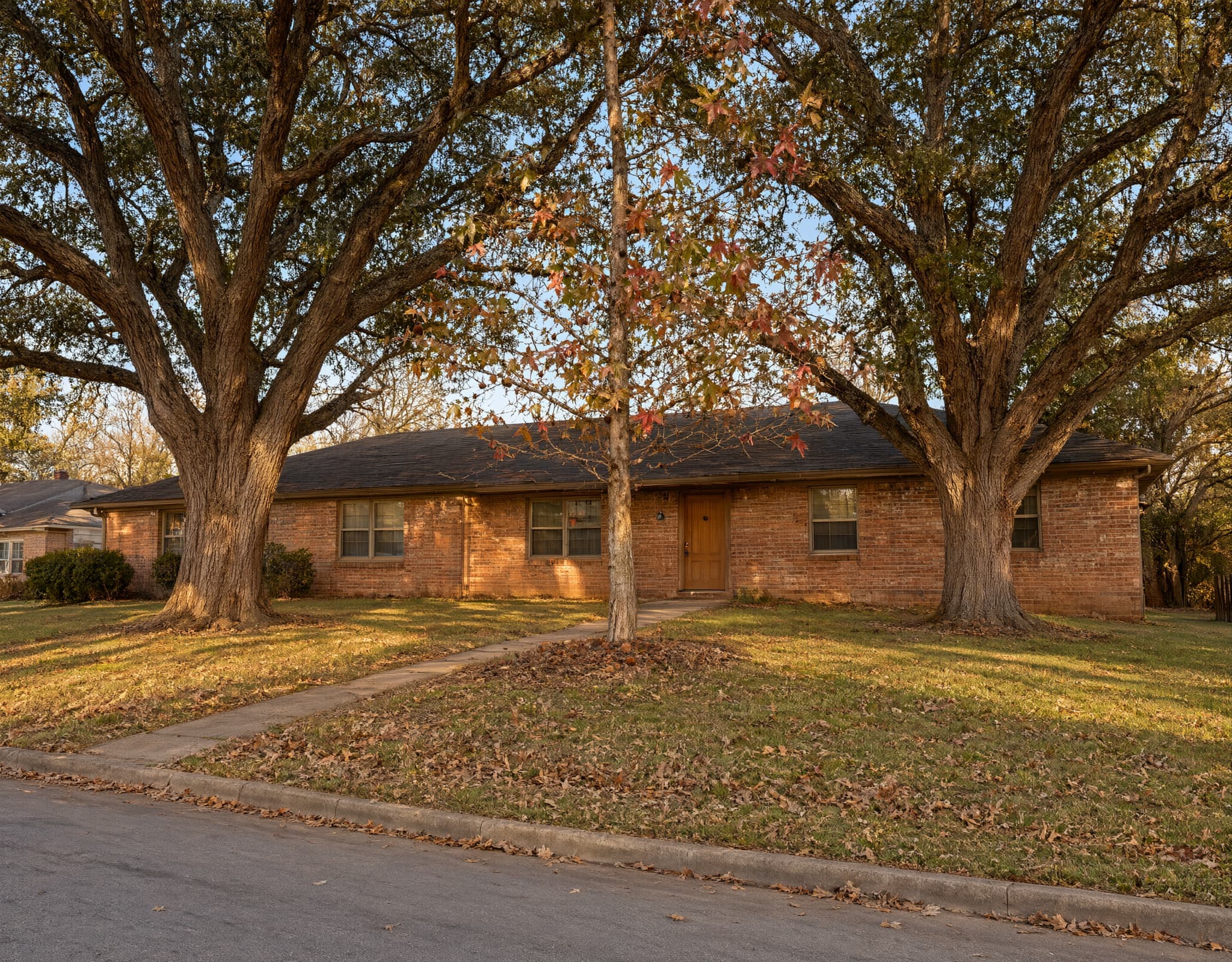 Single-story brick ranch house with two big oaks and a young sweetgum in a leaf-covered front yard